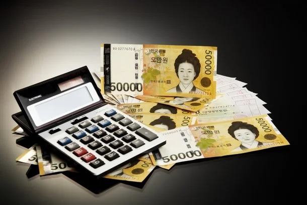 1가구2주택 제외 주택