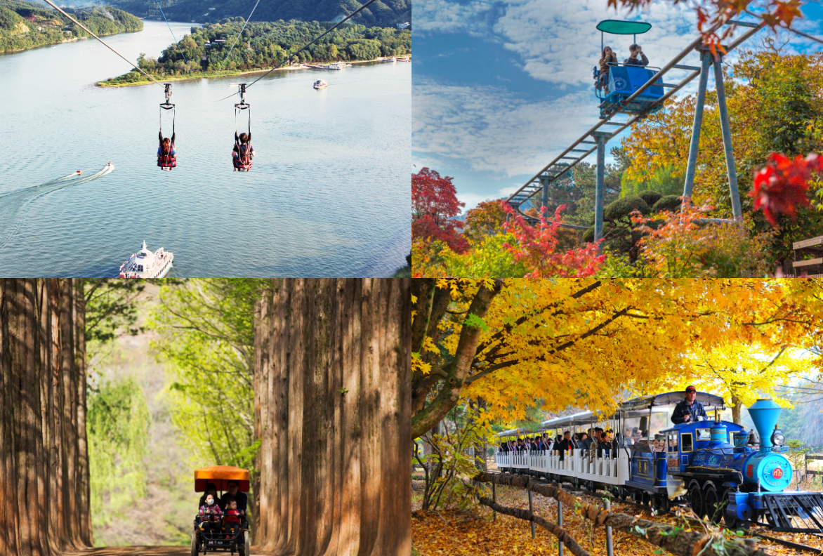 남이섬 단풍 절정시기