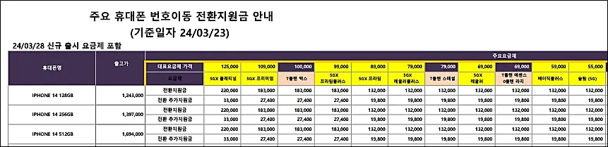 SKT-전환지원금