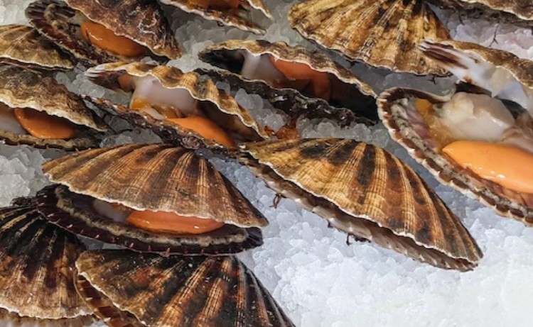 통풍에 해로운 음식