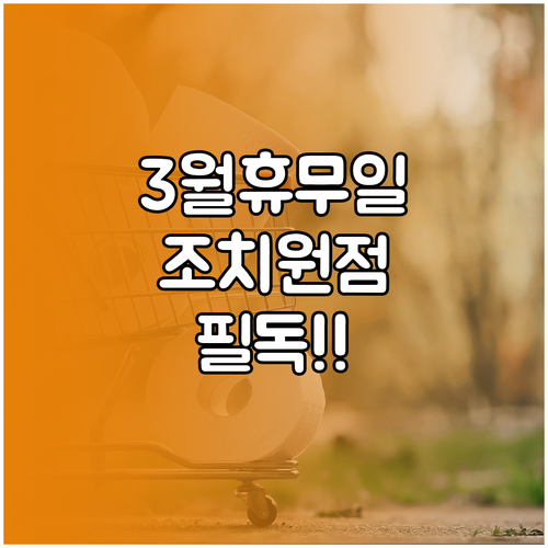 3월 홈플러스 조치원점 정기 휴무일과..