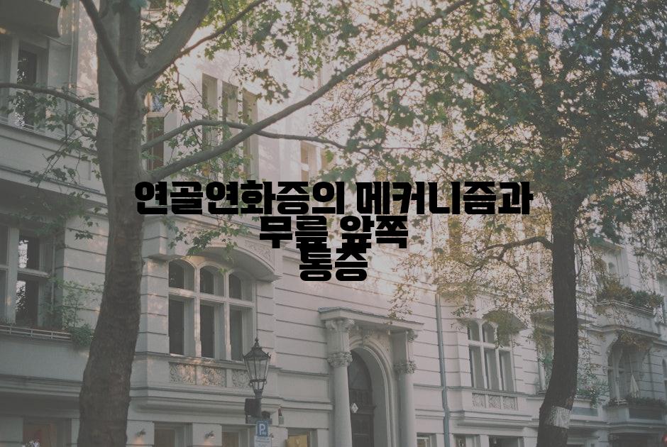 연골연화증의 메커니즘과 무릎 앞쪽 통증
