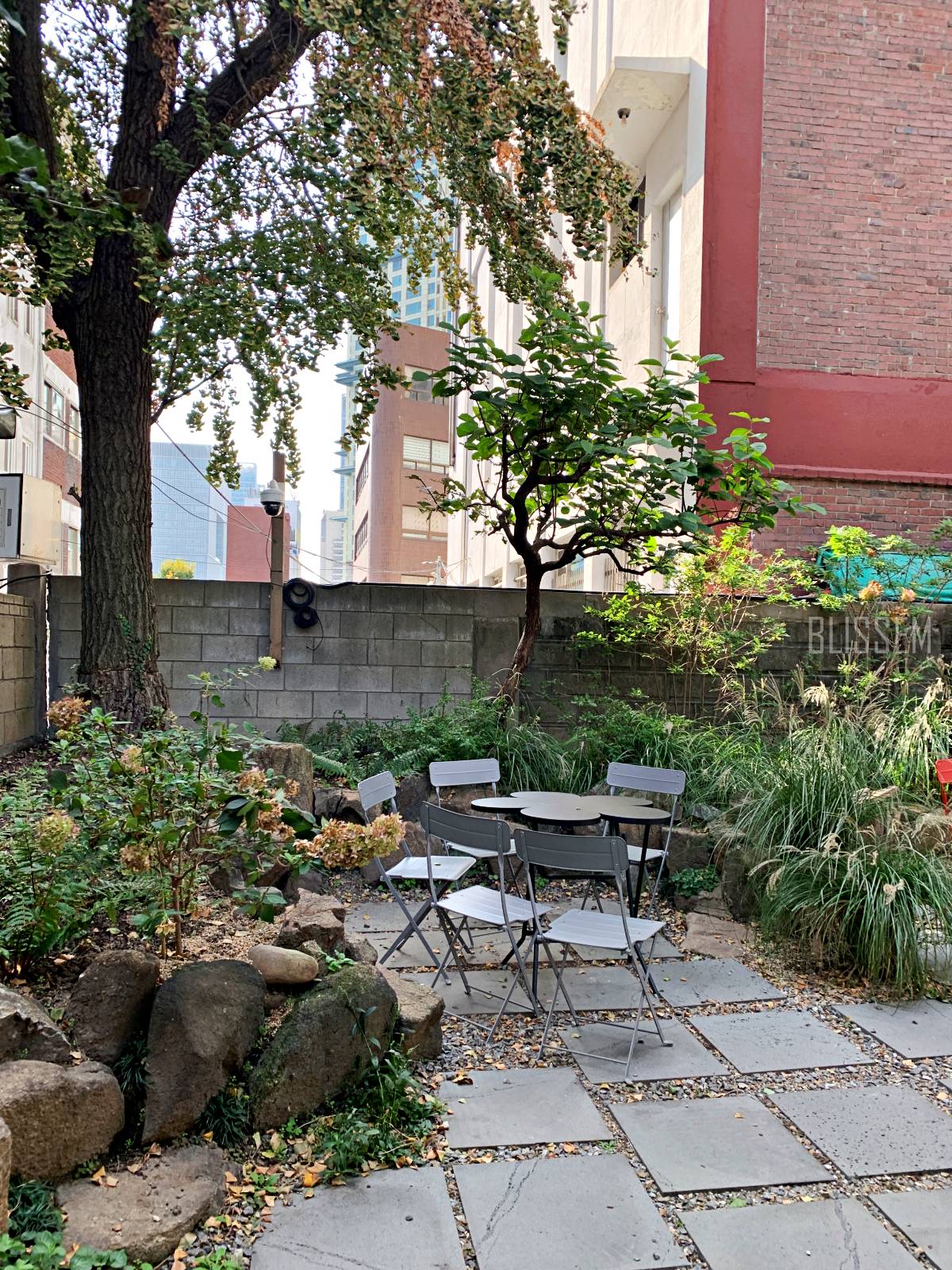 용산카페-삼각지카페-정원카페-예쁜카페-카페추천-피요르드-용리단길카페-정원-인테리어