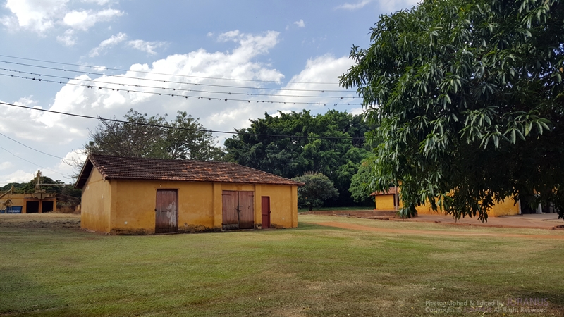 Fazenda_Tozan_27