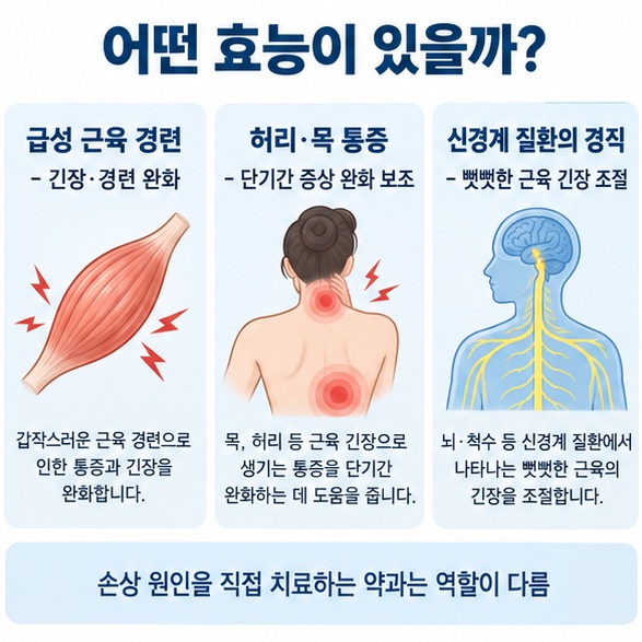 급성 근육 경련 허리 목 통증 신경계 질환 경직에서 근육이완제의 역할을 비교한 인포그래픽