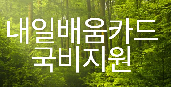 내일배움카드 국비지원 이미지