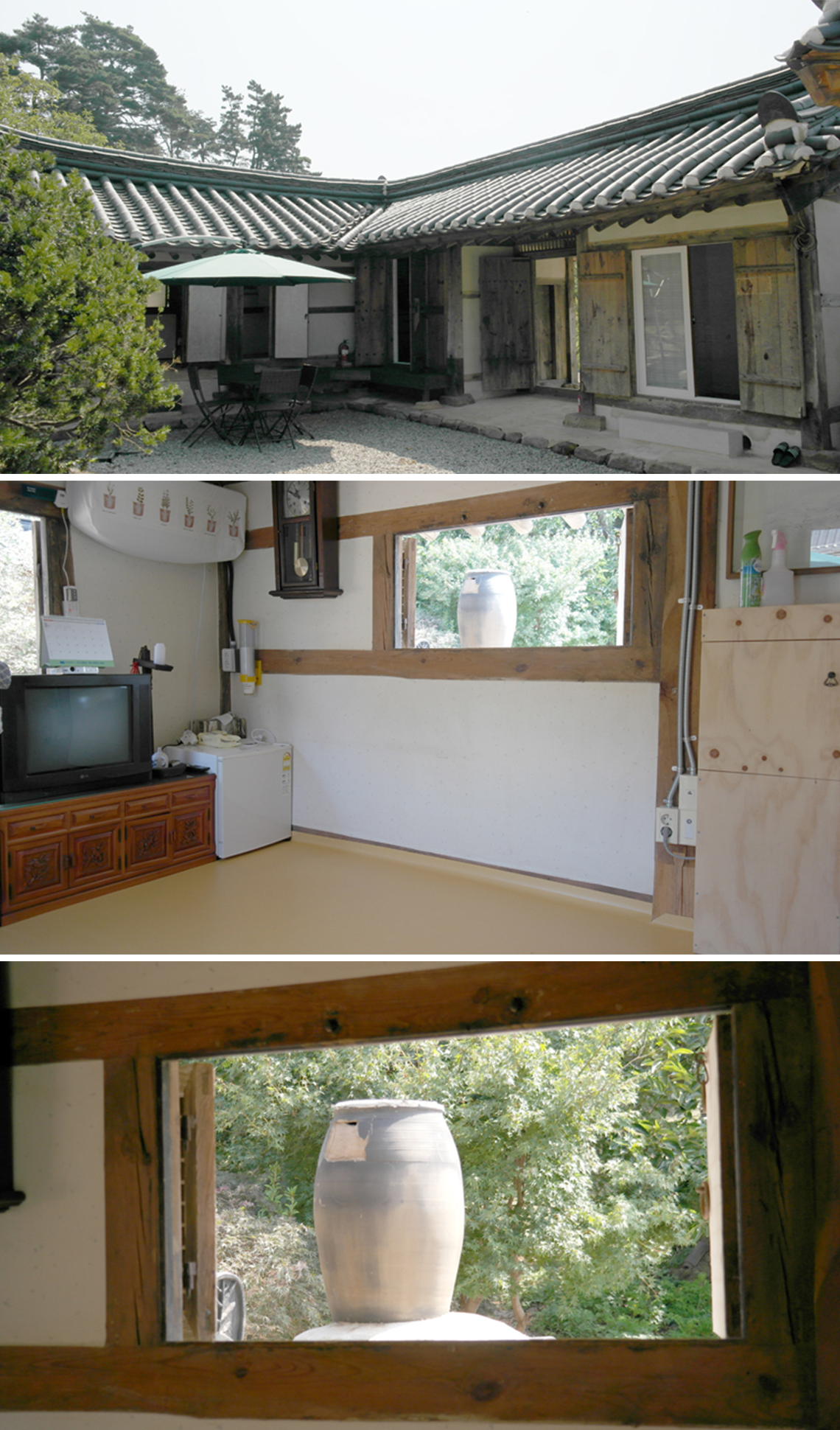 서산 유기방가옥 수선화 축제 기간 개화 총정리