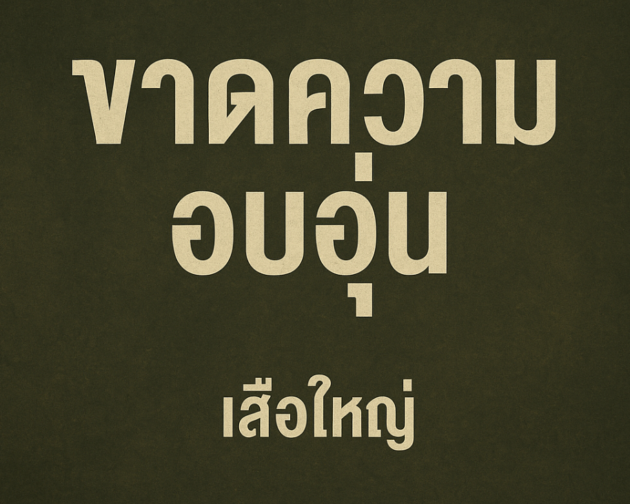 태국 노래: ขาดความอบอุ่น (캇 쾀 옵 운) (เสือใหญ่ - 수아 야이) 정보, 가사 분석, 총평