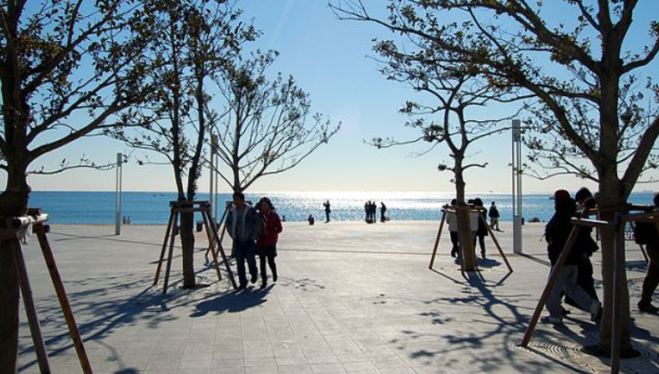 1월 부산 가볼만한곳 추천 ❘ 새해 신년 국내 겨울 여행지 명소 ❘ 가족 실내 데이트