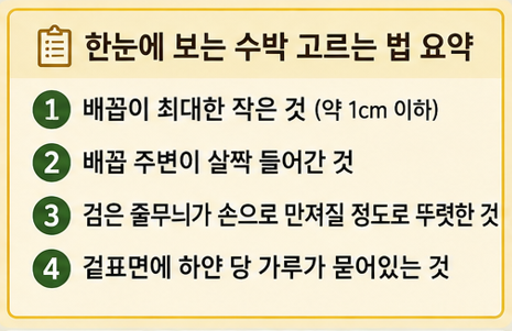 요약