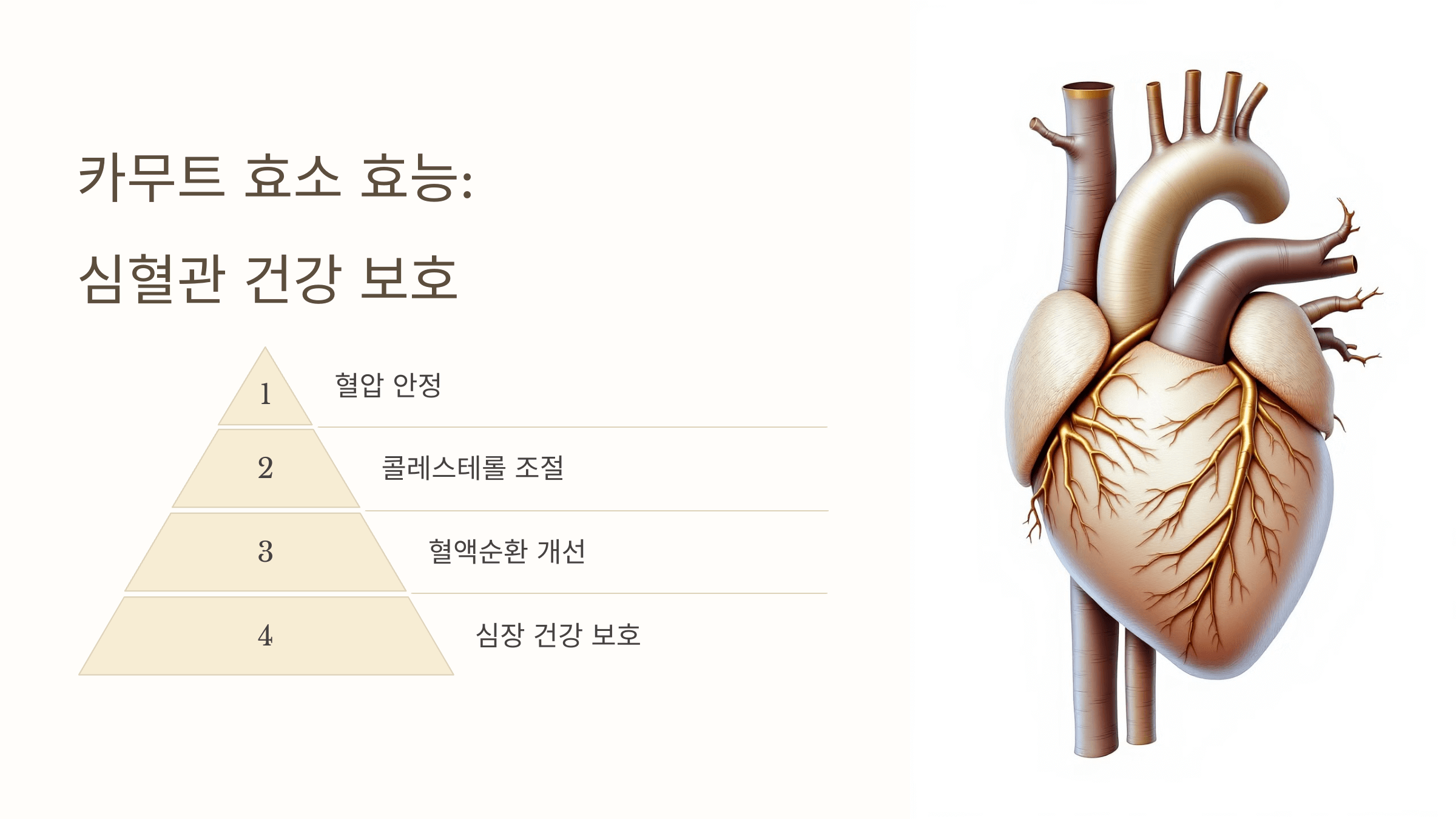 카무트 효소와 관련된 사진입니다.