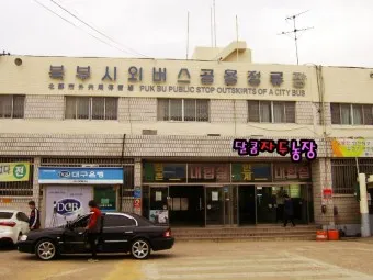 대구북부 시외버스 터미널 시간표 예매 요금_5