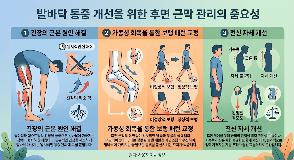 체형교정