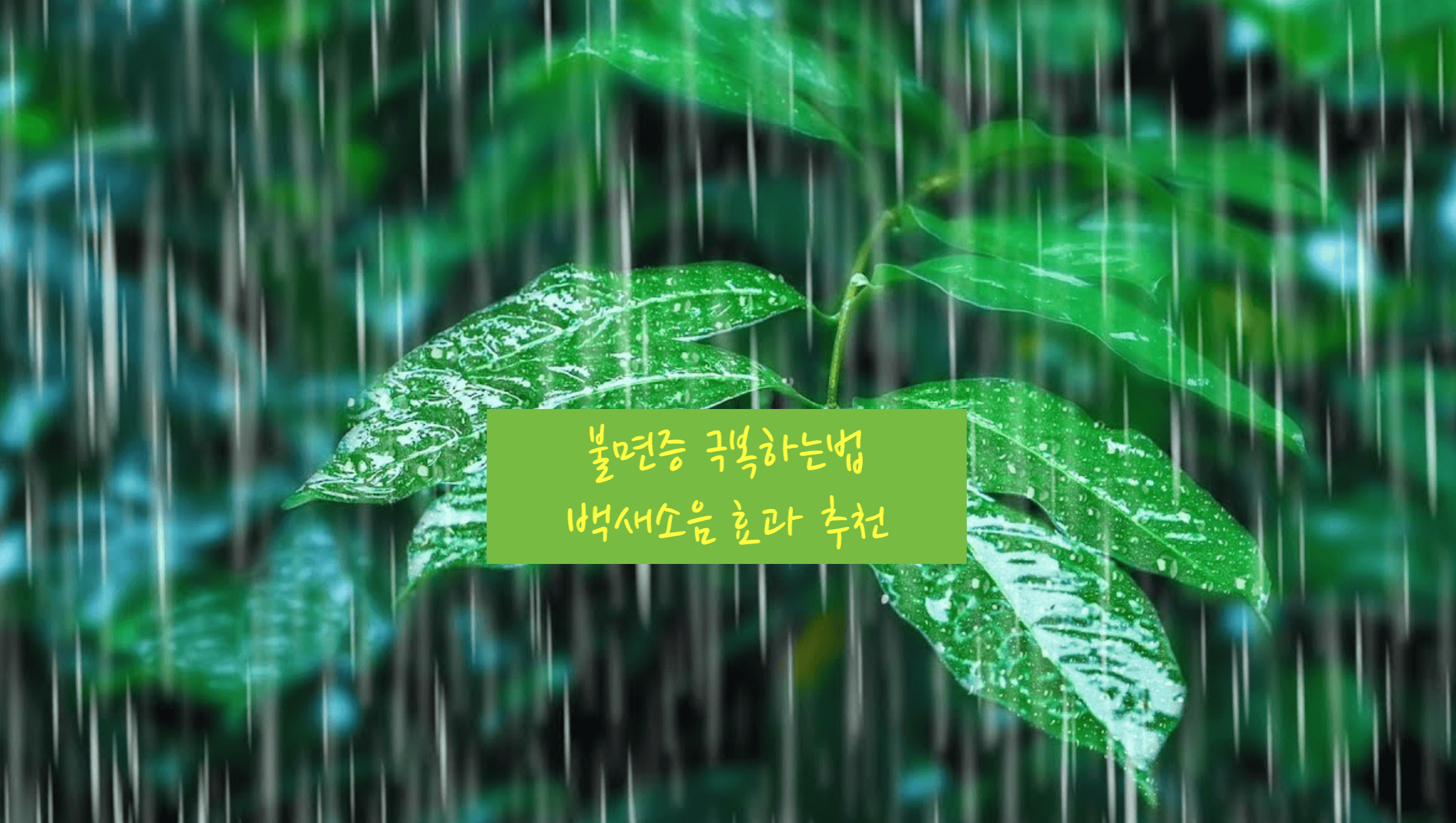 불면증 극복하는법