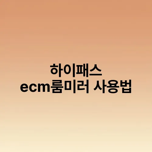 하이패스 ecm룸미러 사용법