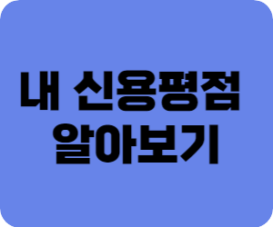 내 신용평점 알아보기