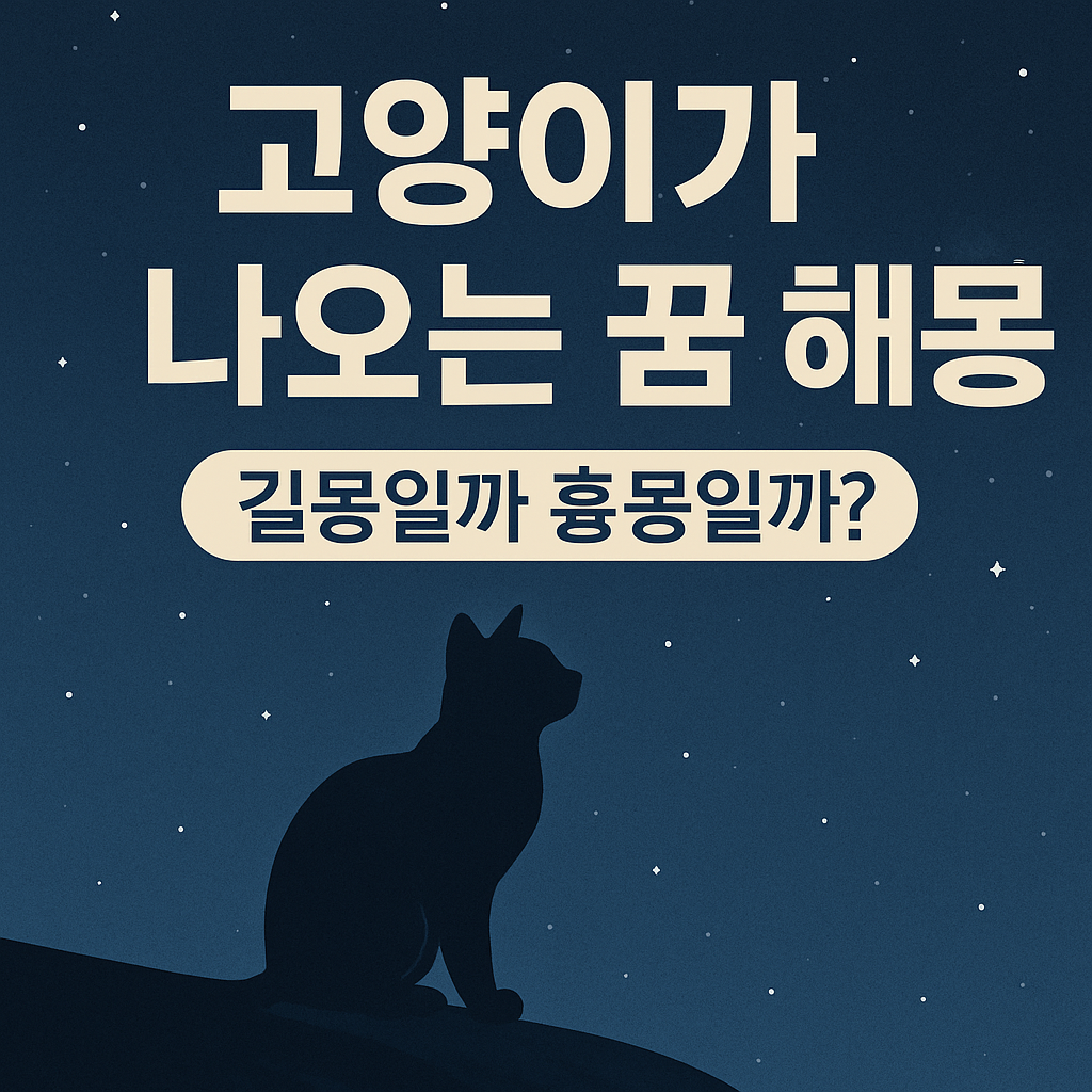 고양이 나오는 꿈