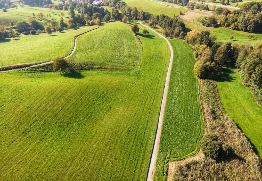 Agricultural land