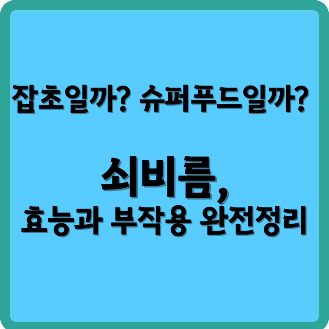 잡초일까? 슈퍼푸드일까? 쇠비름, 효능과 부작용 완전 정리