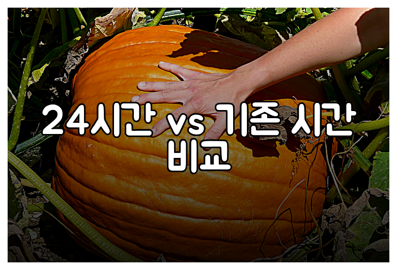 24시간 vs 기존 시간 비교