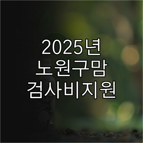 2025년 노원구 임신 지원 필독 모..