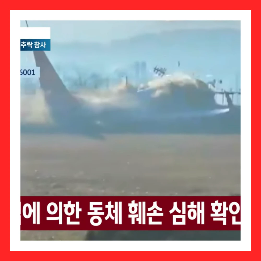 무안공항-여객기-추락-항공기-사고