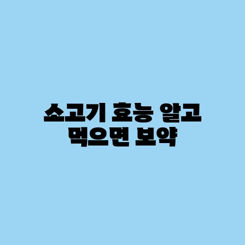 소고기 효능 알고 먹으면 보약
