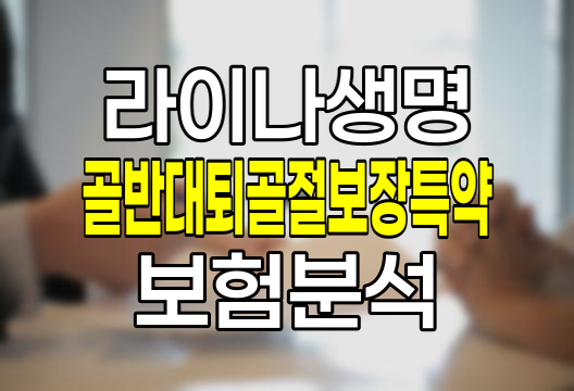 라이나생명 골반대퇴골절보장특약 핵심 분석