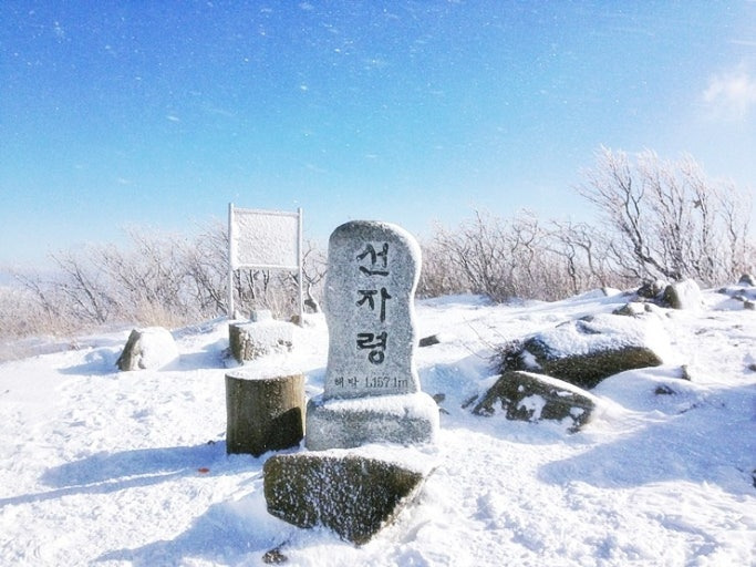 겨울 3주만 볼 수 있는 선자령 눈꽃 절경 트레킹 명소