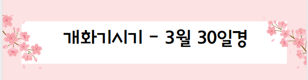 봄꽃 여행지