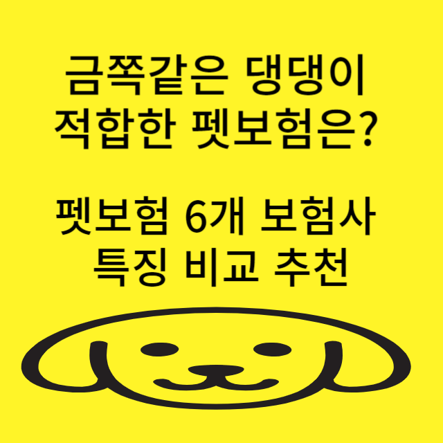 펫보험 비교 추천