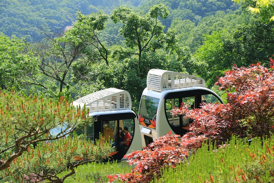 화담숲 모노레일