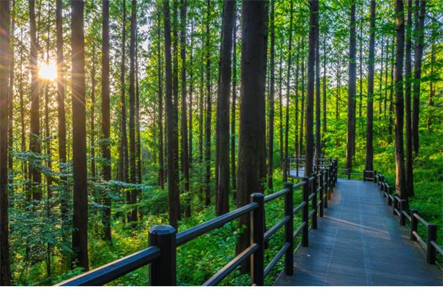 보은 가볼만한곳 베스트10