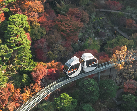 화담숲 모노레일