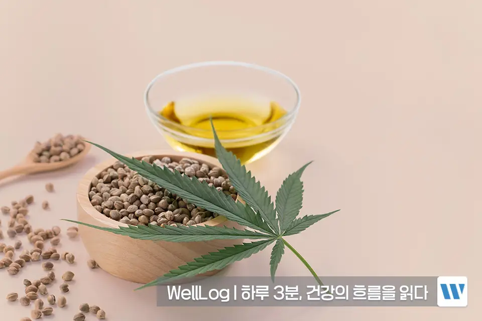 햄프씨드 효능 단백질 오메가3 항산화