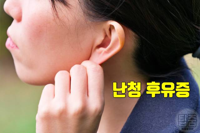 일본뇌염 증상 후유증 치사율 예방접종 가격