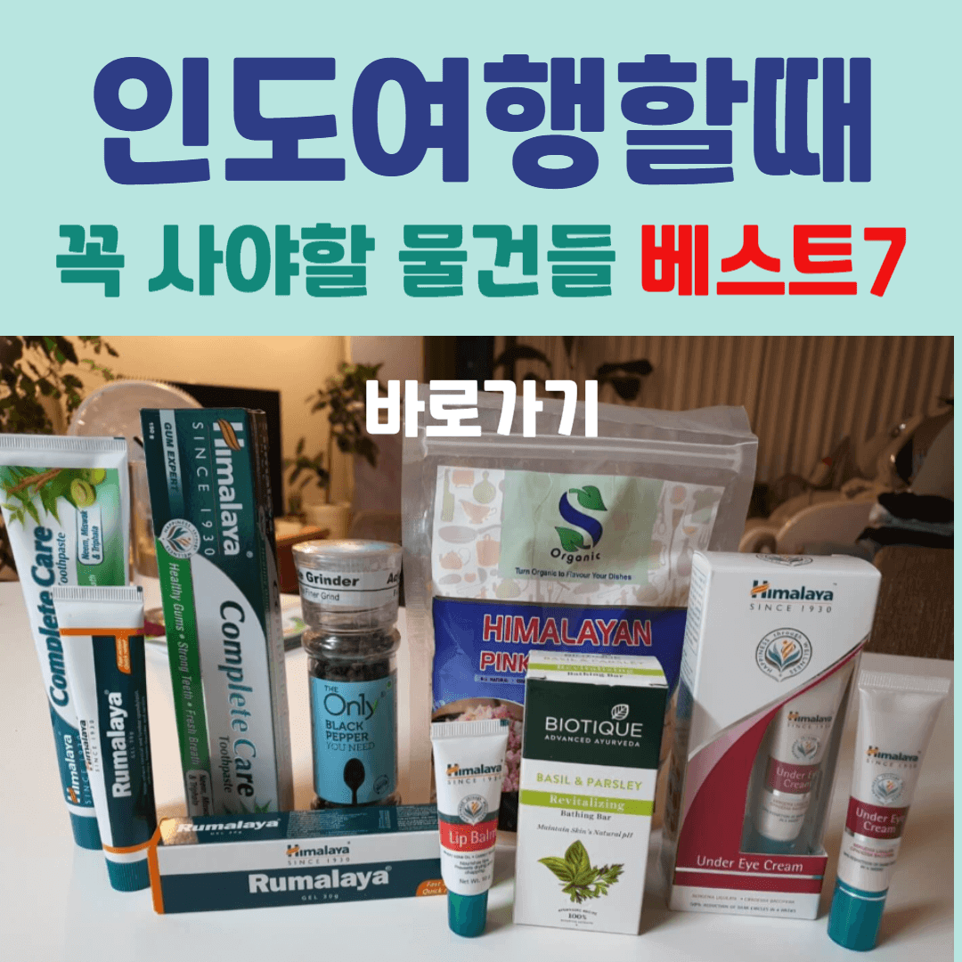 인도여행할때 꼭 사야할 물건 베스트7