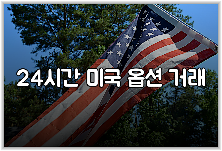24시간 미국 옵션 거래