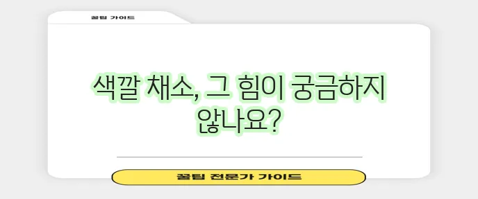 항산화 채소 종류 무엇이 가장 풍부할까요