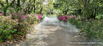 제주스누피가든