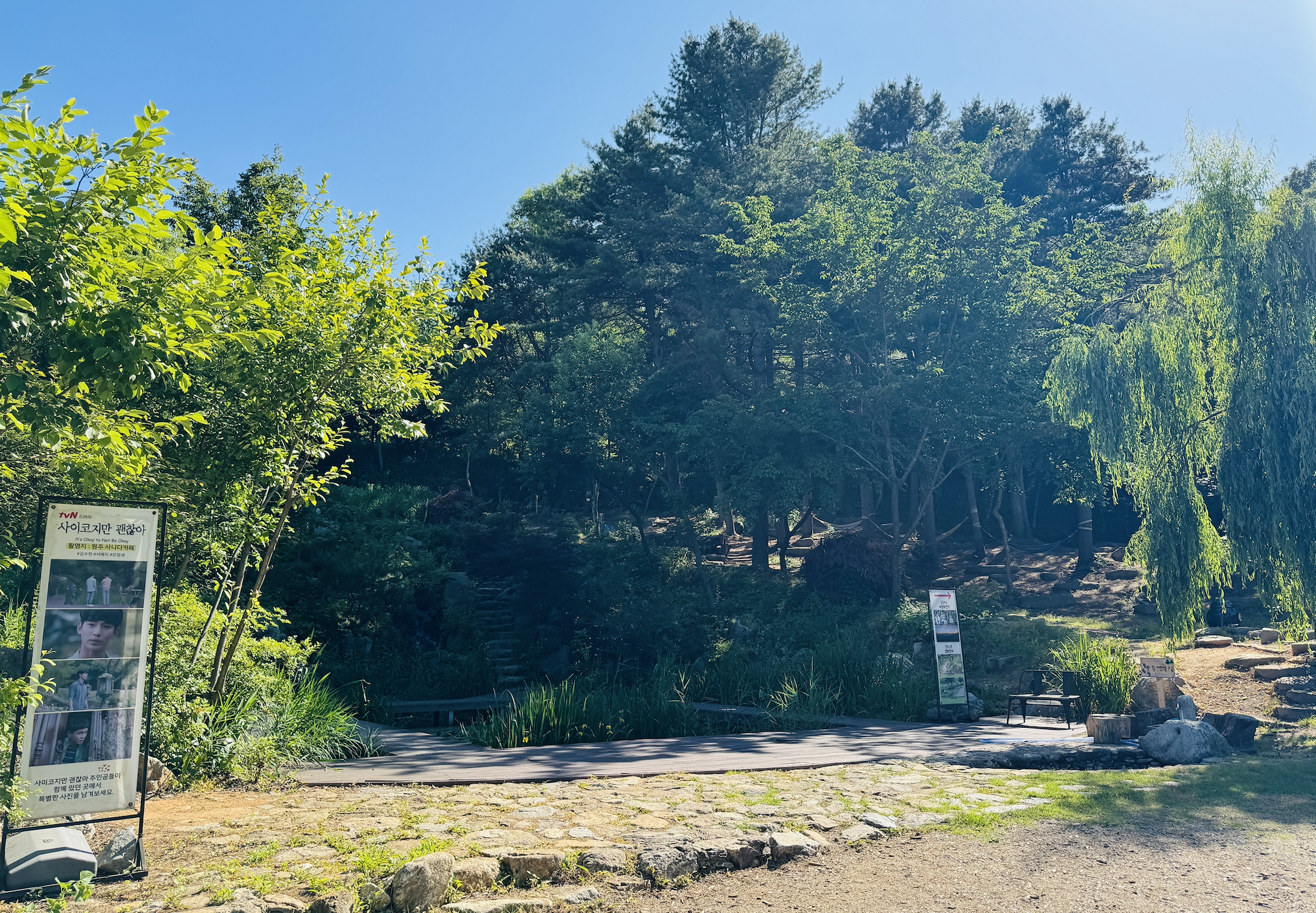 사니다카페의 사니다정원