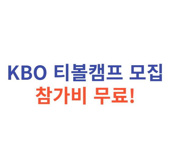티볼캠프 모집