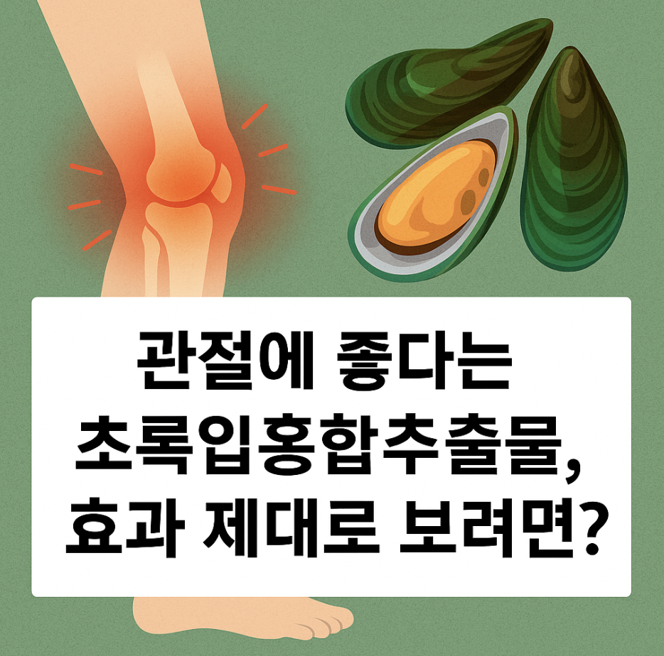 관절에 좋다는 초록입홍합추출물, 효과 제대로 보려면?