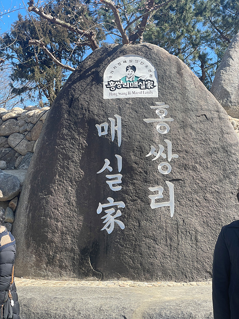 24년 광양 매화 축제 일정 요금 주차