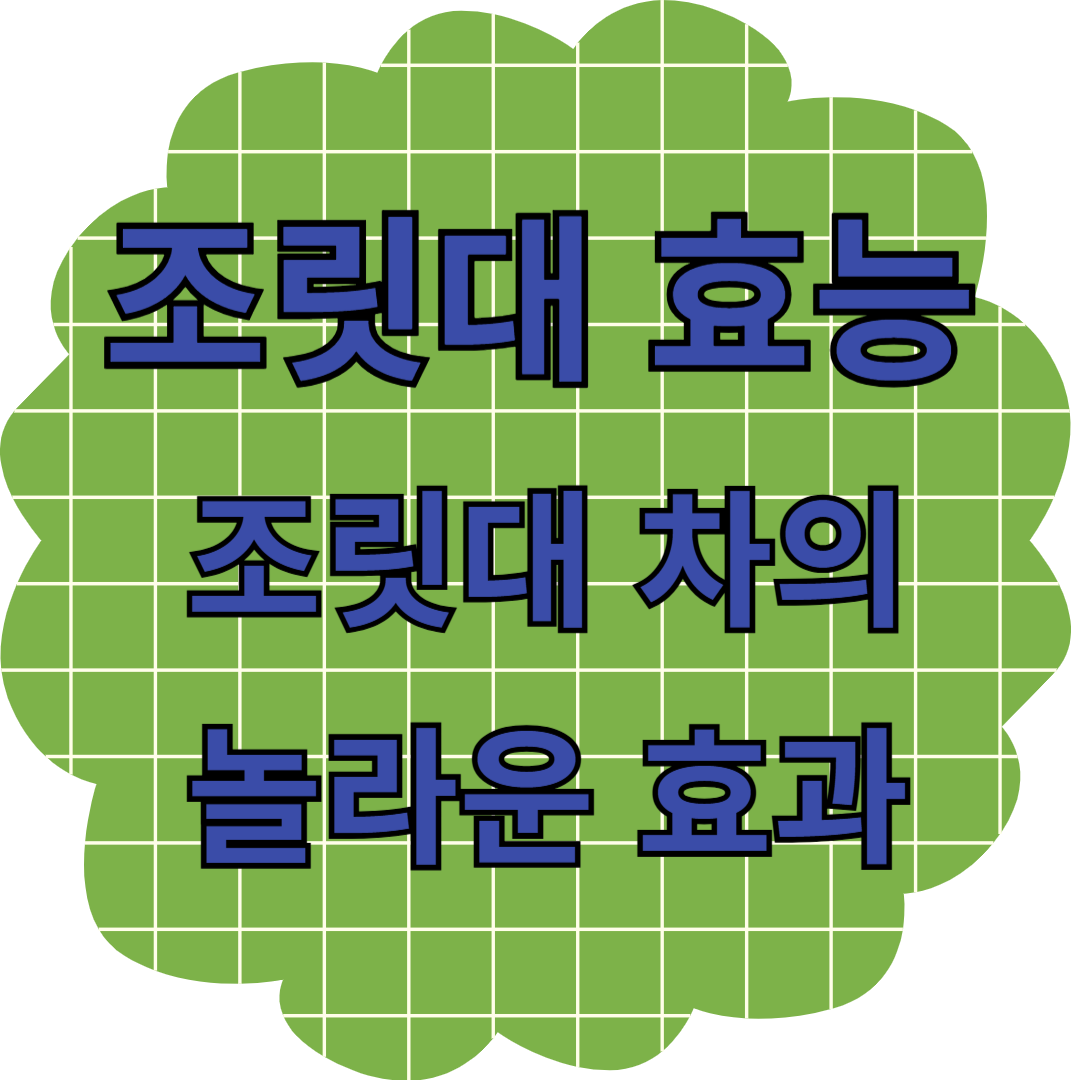조릿대 효능 &ndash; 조릿대 차의 놀라운 효과