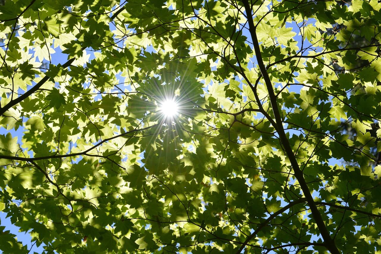 인공광합성의 5단계 레고블록 촉매적층