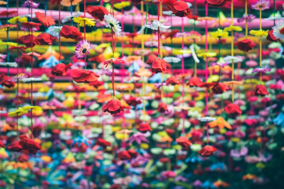Flower Festival