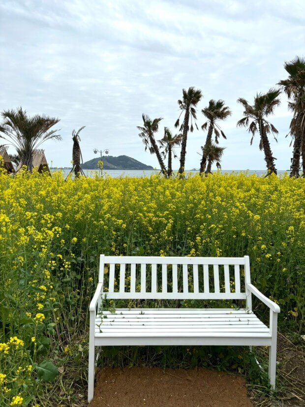 포토존과 관련된 사진
