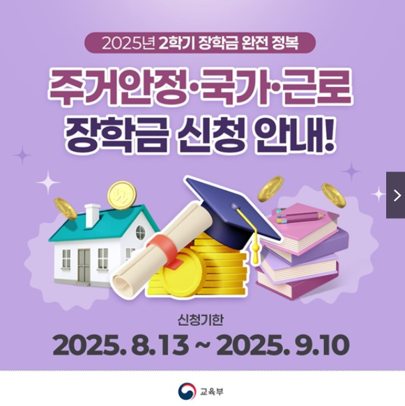 카드섹션