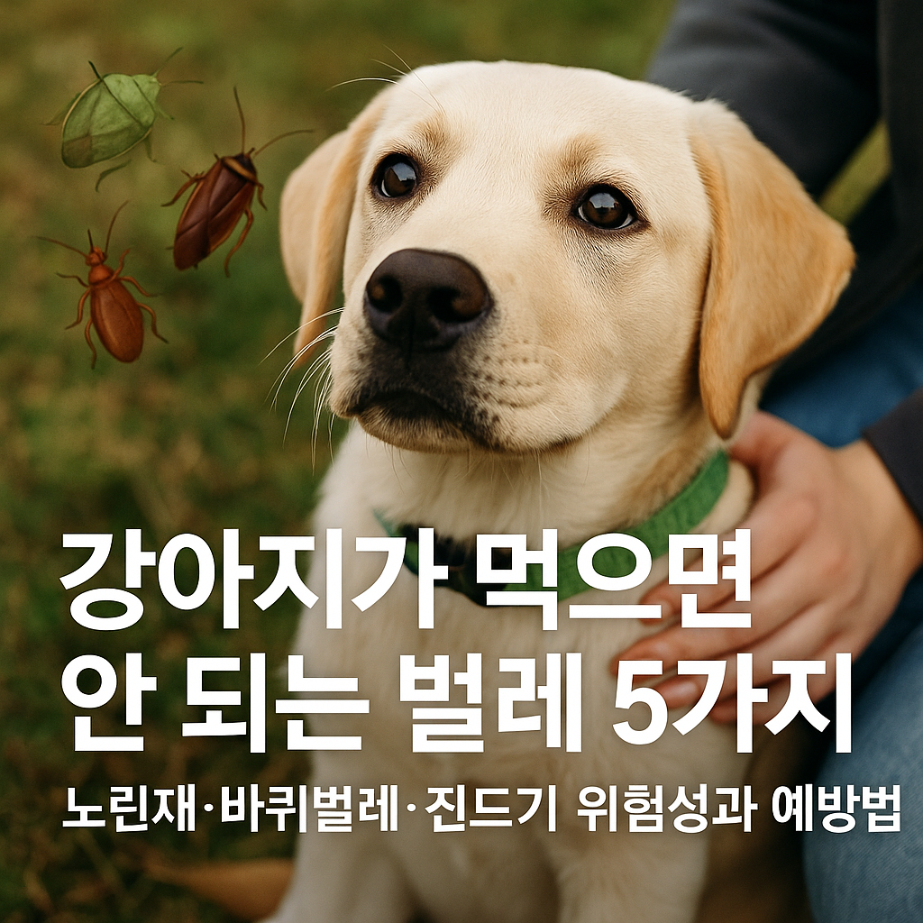 강아지가 먹으면 안되는 벌레5가지, 실사형이미지